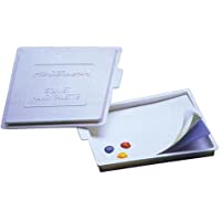 Masterson Handy Unique - Esponja y Papel para palés- Color Blanco